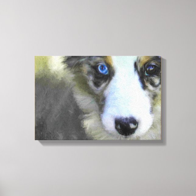 Australian Shepherd Puppy 1 Leinwanddruck (Vorderseite)