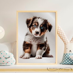Australian Shepherd Puppy Dog Graphic Kinderzimmer Poster