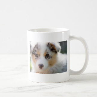 Australian shepherd Puppy Kaffeetasse