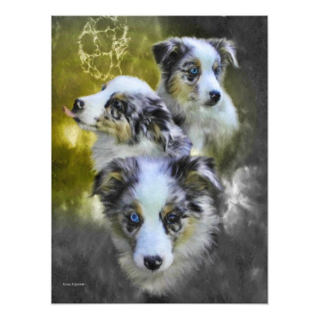 Australian Shepherd Puppy Triad Fotodruck (Vorne)