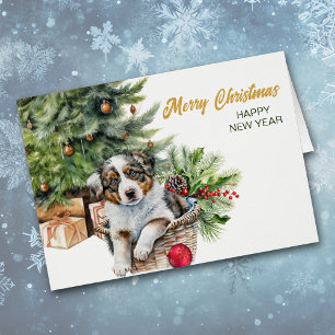 Australian Shepherd Puppy Wicker Weihnachtskorb