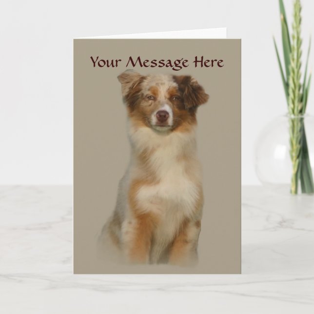 Australian Shepherd Red Greeting Card Karte (Vorderseite)