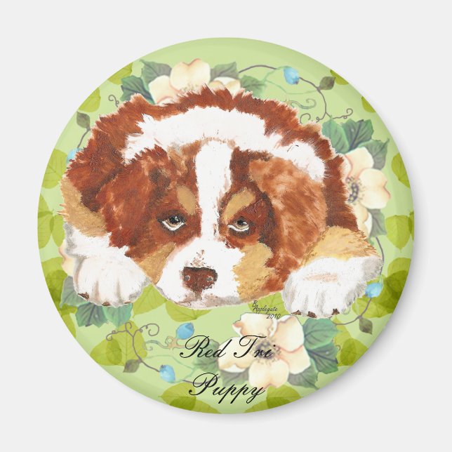 Australian Shepherd Red Tri Puppy ~ Grüne Blätter Magnet (Vorne)