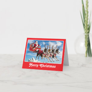 Australian Shepherd Reindeer Feiertagskarte