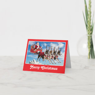 Australian Shepherd Reindeer Feiertagskarte