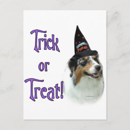 Australian Shepherd Trick Postkarte