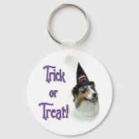 Australian Shepherd Trick