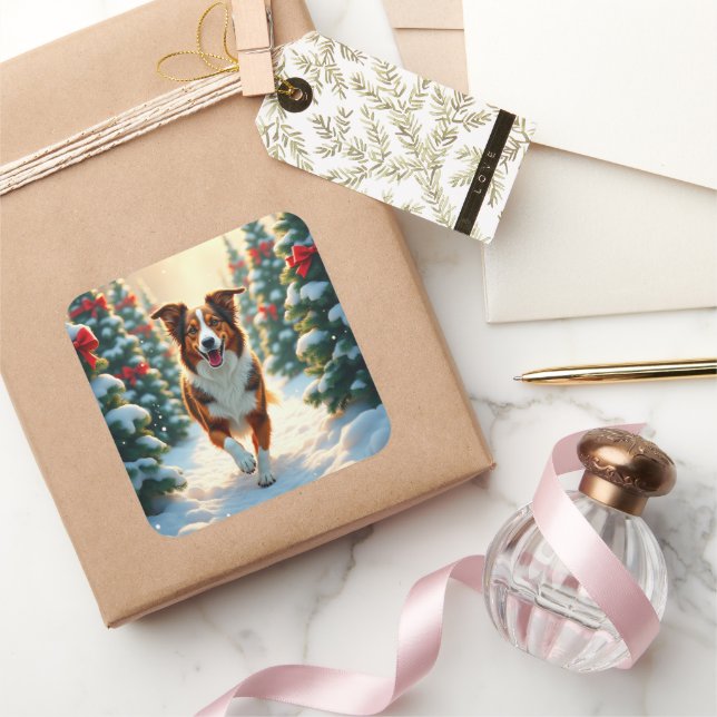 Australian Shepherd Weihnachtsbaumplantage Malerei Quadratischer Aufkleber (Schenken)
