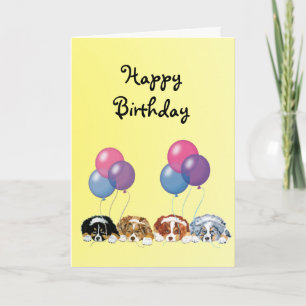 Australian Shepherd Welppies Happy Birthday Karte