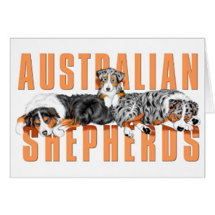 Australian Shepherds Card