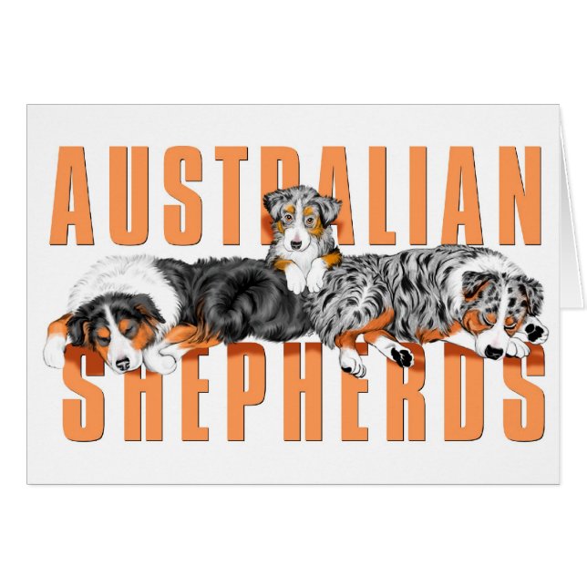 Australian Shepherds Card (Vorderseite (Horizontal))