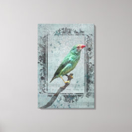 Australian Star Finch on Music Leinwanddruck