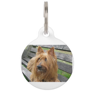australian terrier auf Bank.png Tiermarke