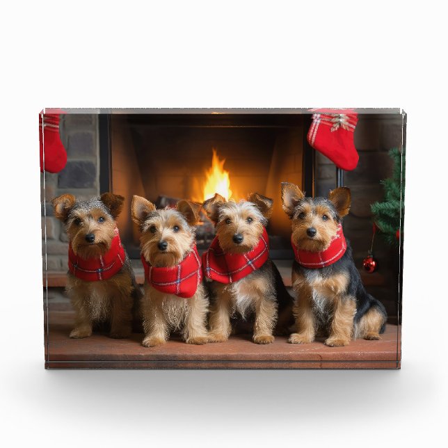 Australian Terrier by Fireplace Christmas Fotoblock (Vorderseite)