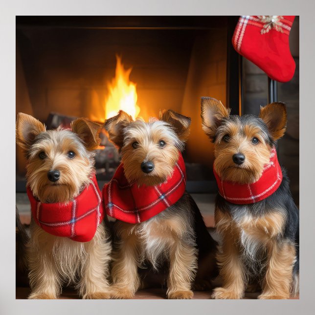 Australian Terrier by Fireplace Christmas Poster (Vorne)