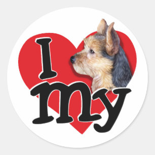 Australian Terrier I (heart) my Runder Aufkleber