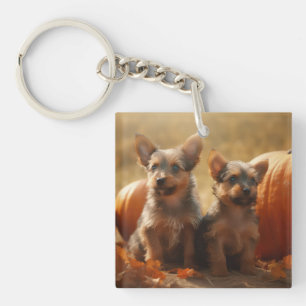 Australian Terrier Welpe Herbstvergnügen Kürbis Schlüsselanhänger