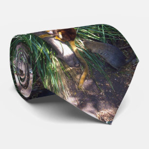 Australian Tree Kangaroo, Neck Tie Krawatte