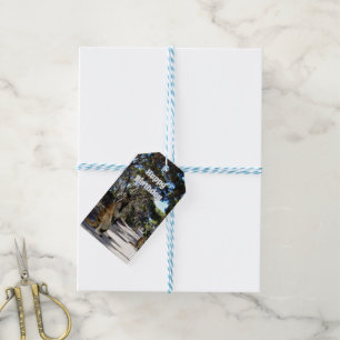 Australian Wallaby Road, Gift Tags Geschenkanhänger