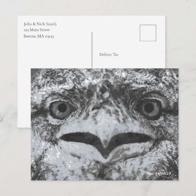 Australian Wildlife, Nature's Curmudgeon, Animal Postkarte (Vorne/Hinten)