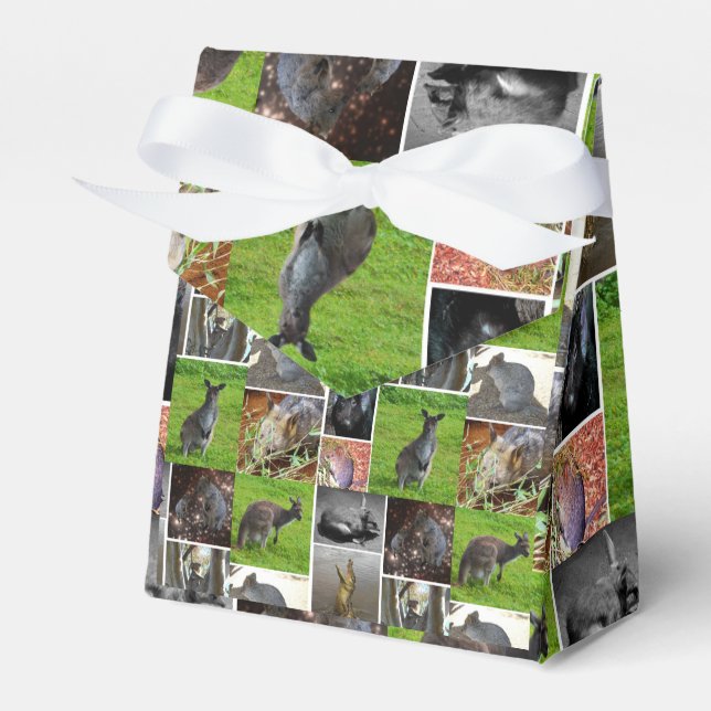 Australian Wildlife Picture Collage, Geschenkschachtel (Vorderseite)