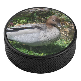 Australian Wood Duck in Tranquil Garden Eishockey Puck
