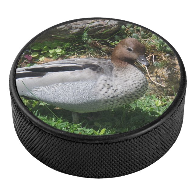 Australian Wood Duck in Tranquil Garden Eishockey Puck (3/4)