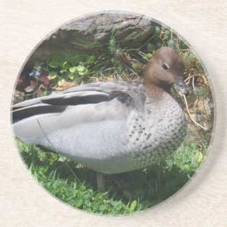 Australian Wood Duck in Tranquil Garden Getränkeuntersetzer