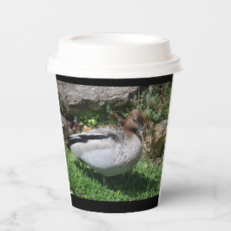 Australian Wood Duck in Tranquil Garden Pappbecher
