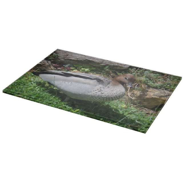 Australian Wood Duck in Tranquil Garden Schneidebrett (Ecke)