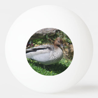 Australian Wood Duck in Tranquil Garden Tischtennisball