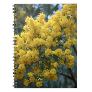 Australian Yellow Wattle Tree, Notizblock