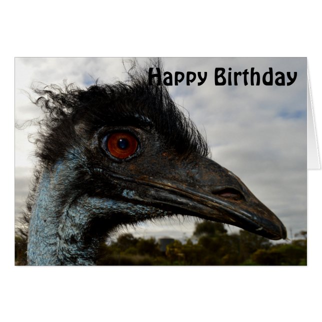 Australie Emu Gros plan, Carte Anniversaire (Devant horizontal)