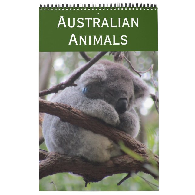 Australien 2025 kalender (Titelbild)