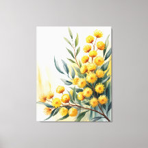 Australien — Aquarell-Goldene Akazie