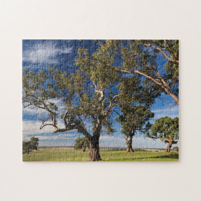 Australien, Barossa-Tal, Monte Pleasant (Horizontal)