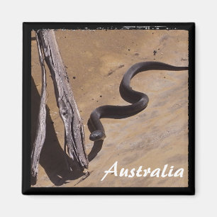 Australien - Braune Schlange, Wildnis (Magnet) Magnet
