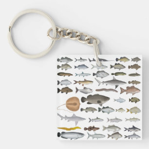 Australien Freshwater Fish Group Schlüsselanhänger