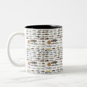 Australien Freshwater Fish Group Zweifarbige Tasse