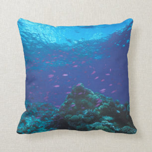Australien, Great Barrier Reef. Lila Kissen