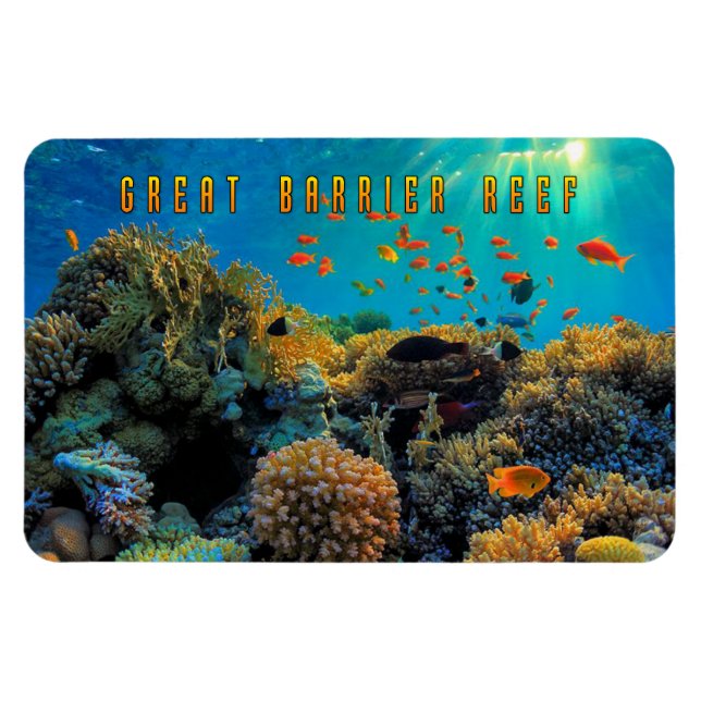 Australien Great Barrier Reef stilisiert Magnet (Horizontal)