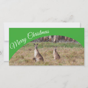 Australien Joyeux carte photo de Noël