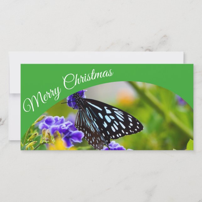 Australien Joyeux carte photo de Noël (Devant)