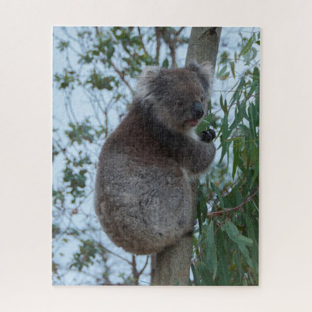 Australien Kangaroo Insel Koala Tree, 520 Stück (Vertikal)