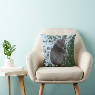 Australien Kangaroo Insel Niedlich Koala in einem  Kissen