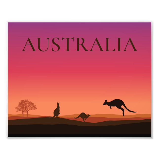 Australien Kangaroos Foto Poster Print (Vorne)