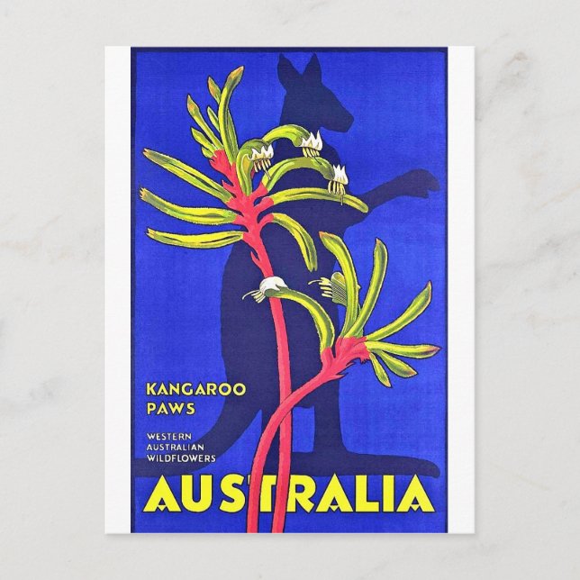 Australien, Känguru, australische Wildblumen Postkarte (Vorderseite)