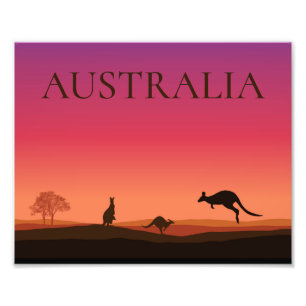 Australien Kängurus Foto Poster Druck