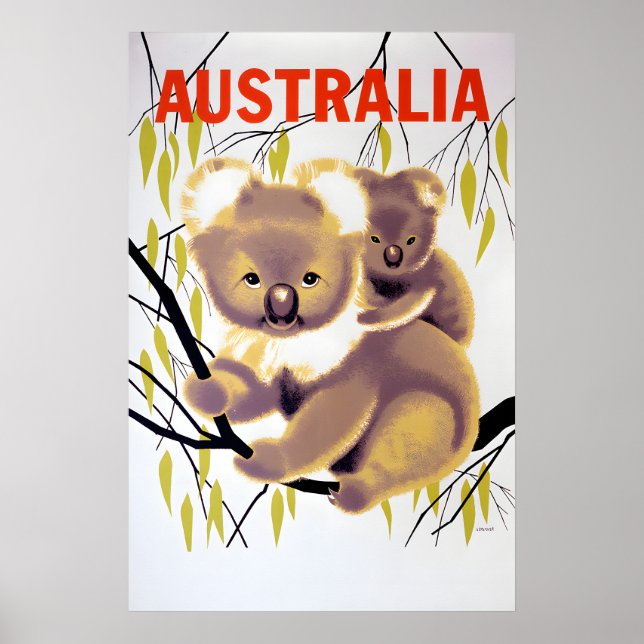 Australien Koala-Bär-Reiseposter Poster (Vorne)