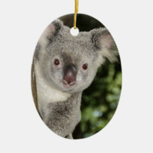 Australien Koala Bär süße Tier Keramikornament